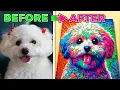 Download Lagu Ik heb mijn hond gebouwd met 10.000 dominostenen!