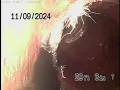 1960 N Edgemont St 2