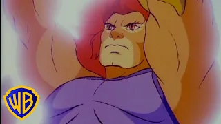 Cats VS Ancient Robots?! 😼🤖  | ThunderCats | @WBkids
