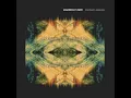 Wallflower (Ross from Friends Remix) - Maribou State