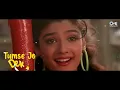 Tumse Jo Dekhte Hi Pyar Hua | Salman Khan, Raveena Tandon | Patthar Ke Phool | 90's Hindi Hits