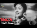 Download Lagu Man Dole Mera Tan Dole Video Song || Nagin (1954) Movie ||  Vyjayanthimala, Pradeep Kumar