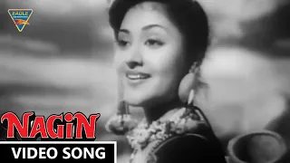 Download Man Dole Mera Tan Dole Video Song || Nagin (1954) Movie ||  Vyjayanthimala, Pradeep Kumar MP3