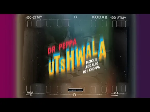 Download MP3 Dr Peppa ft 031 Choppa, Blxckie, Leodaleo - Utshwala visualizer