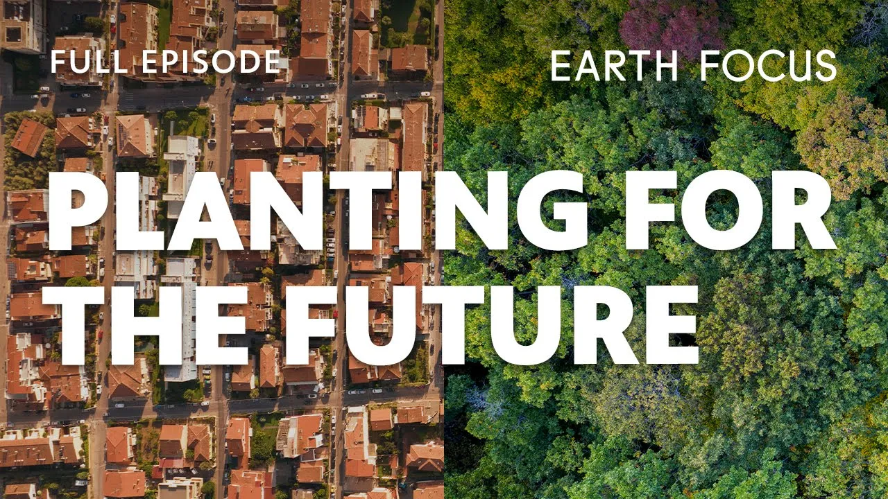 Can Trees Really Improve our Neighborhoods? | Earth Focus | Season 6, Episode 4 | PBS SoCal