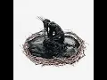 Hell Is a Part of Me - Entheos