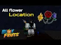 All Flower Location To Get Race V2 Blox Fruit 2026
