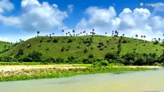 وائل كفوري اهلا وسهلا شرفونا احبابنا 