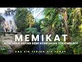 Download Lagu NGGAK NYANGKA SEBAGUS INI | Menembus Hutan Demi Keindahan Tersembunyi, ada air terjun air panasnya