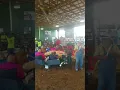 Meigs County Ohio Fair 2018 Ben Schafer Realty Dean L Blackburn Auctioneer
