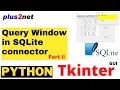 Tkinter child window using Toplevel to execute user entered SQL query on SQLite and display result