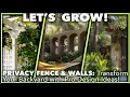 TRANSFORM YOUR YARD Privacy Fence Ideas AND Pro Tips from a Landscape Architect
