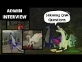 Admin Silkwing Interview - Gem Embed News Silkwing Appearance Common Questions Answered