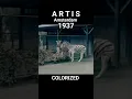 Download Lagu 1937 - Artis Amsterdam (1) -  @WalkWatch01
