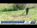 Annual Python Challenge starts next week in Florida