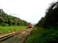 Download Lagu Kereta Api Sribilah Rantau Prapat - Medan