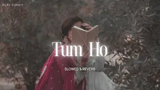 Download Tum Ho - Mohit Chauhan [Slowed \u0026 Reverb] | New Lofi Song MP3