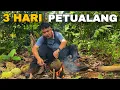 Download Lagu 3 hari berpetualang, mancing sidat,mencari buah hutan dan panen durian #kinsurvive