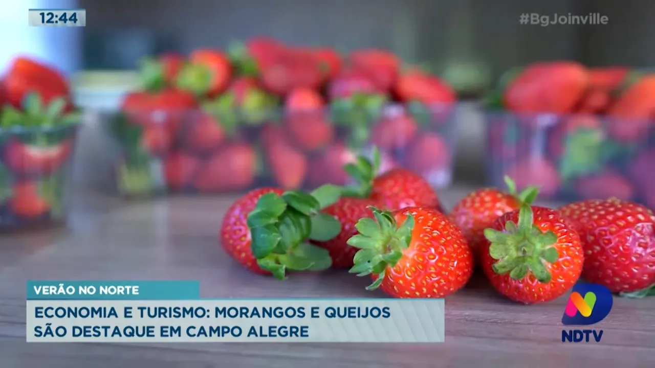 Verão no Norte: morangos e queijos são destaque em Campo Alegre