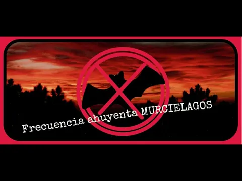 Download MP3 sonido 🦇  AHUYENTA MURCIÉLAGOS 🦇 FUNCIONA no mas murciélagos