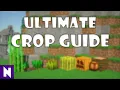 ULTIMATE CROP GUIDE - Best crop to farm