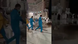 صلوا عليه شفيع الأمة   حالات واتس دينية دندنها