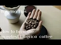 Download Lagu How to brew the sweetest Liberica coffee