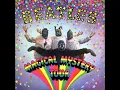 I am the Walrus (with lyrics)