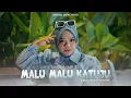 Download Lagu Nabila Moure - Malu Malu Katuju (Official Music Video)