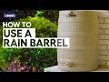 How To Use a Rain Barrel DIY Basics