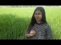 Download Lagu Keling Asri