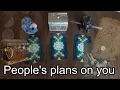 Download Lagu 🗺People's plans on you! Tarot timeless pick a card reading.