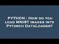 PYTHON How do you load MNIST images into Pytorch DataLoader