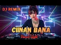 Lagu CIINAN BANA 🔥 DJ REMIX PALING NAGIH | ENAK PARAH, AUTO REPEAT! 🎧