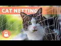 CAT NETTING for Balconies and Windows Protect cats from FALLS