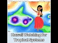 Hawaii Weather Watching for Tropical Systems