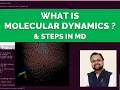What is Molecular Dynamic Simulations