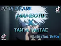 Download Lagu DJ OLD KANE🎶 MAMBOTU X TANTA TANTAE MELODY VIRAL TIKTOK🎧