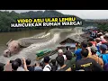 Download Lagu Bukti Video Ular Lembu, Hancurkan Rumah Warga Di Sungai Mahakam?