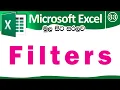 Filters - Microsoft Excel for Beginners in Sinhala
