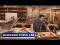 University of Chicago fossil lab museum opens on city s South Side