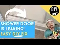 Gap in Glass Shower Door Threshold Is Causing Water to Spray Out Leak How to Easily DIY Fix It