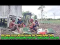 Download Lagu Guyub rukun petani rantau panen ke.4 kalinya diladang pak adi asal kota jember jawa timur