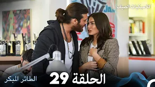 مسلسل الطائر المبكر كلاسيكيات الصيف الحلقة 29 Arabic Dubbed 