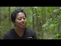 Tanah Papua:  A Paradise for Birds