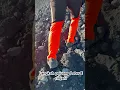 Download Lagu Pendaki sejati adalah yang mampu melewati track rinjani ini... Leter E rinjani