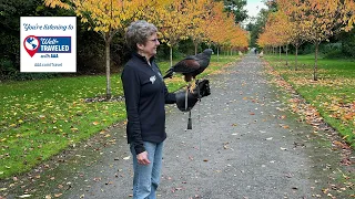 Well-Traveled with AAA Authentic Experiences in Ireland