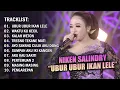 Download Lagu NIKEN SALINDRY \