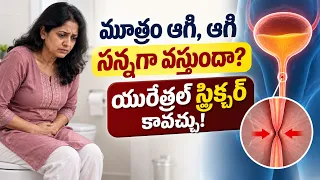 మహిళల్లో మూత్రనాళం మూసుకుపోయే సమస్య యురేత్రల్ స్ట్రిక్చర్! | డా. టి. యశస్వి రెడ్డి