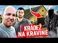 Download Lagu Zloděj na kravíně a Jáša se málem ZABIL! 🥲